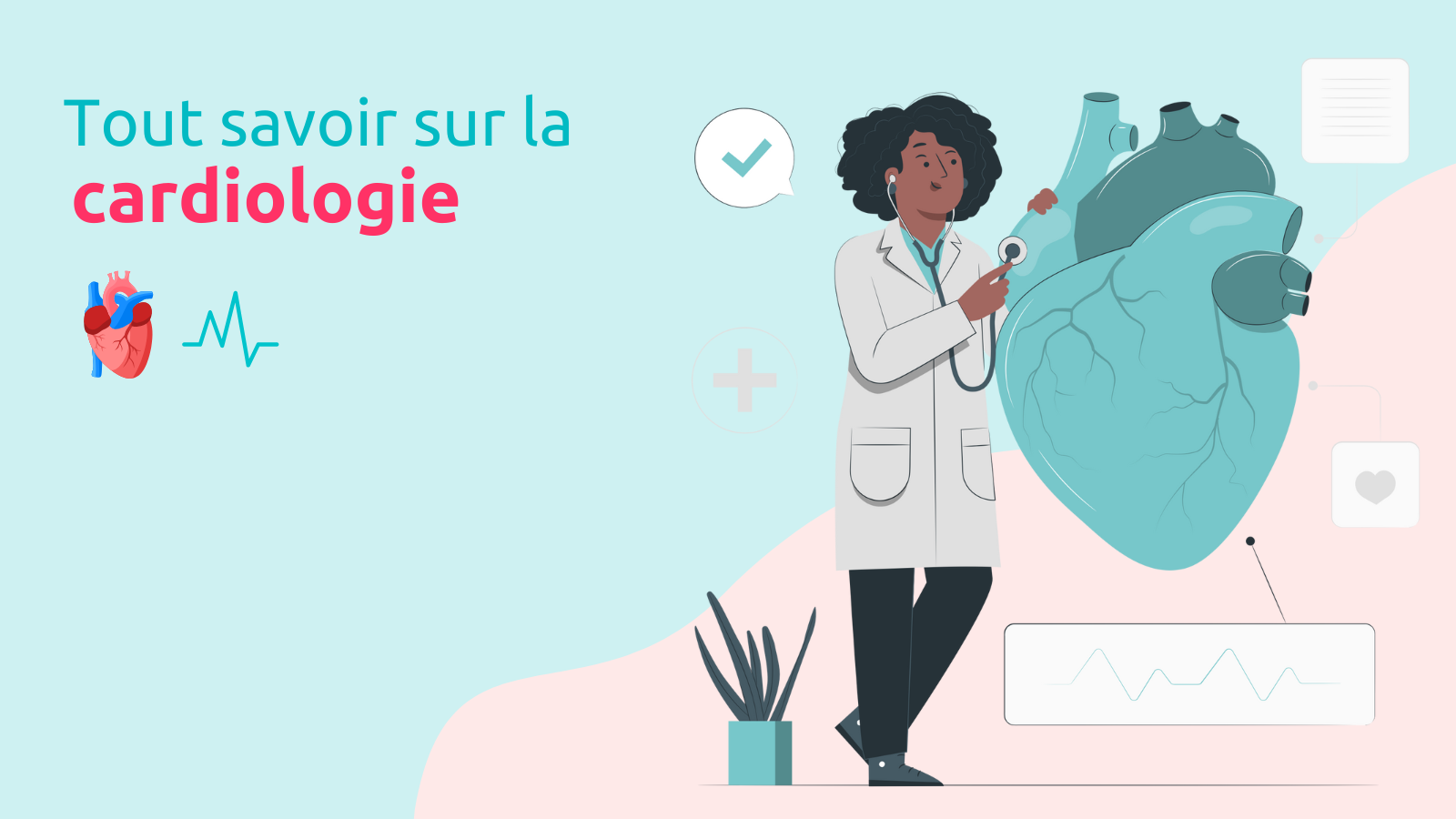 Tout savoir sur la cardiologie