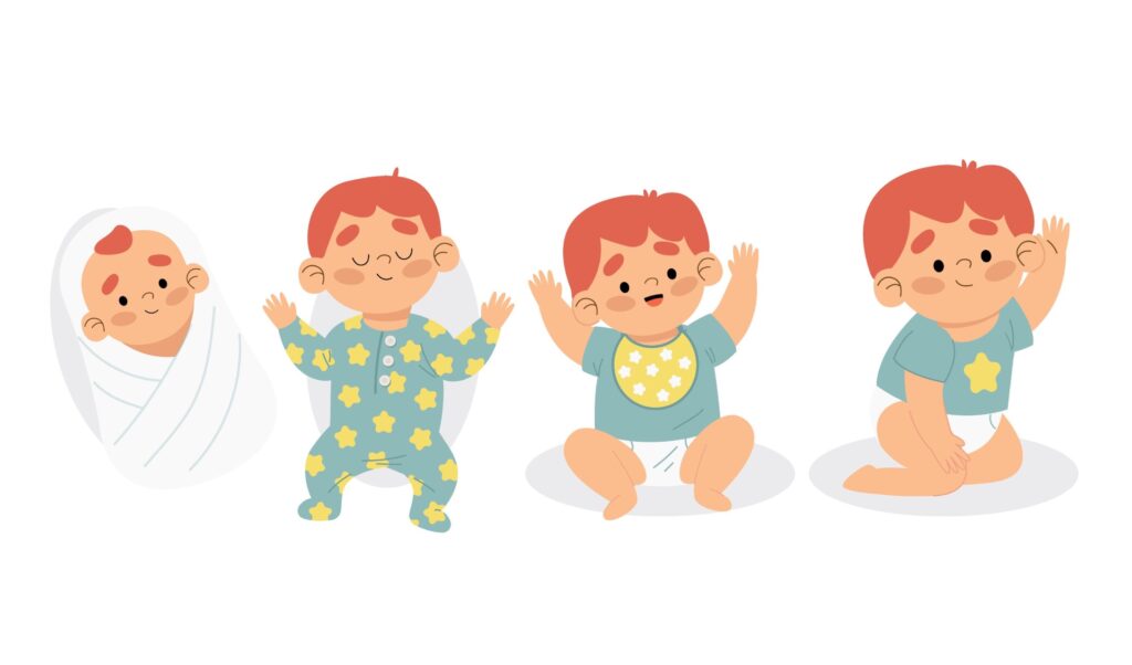 Illustration évolution bébé.