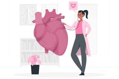 Illustration cardiologue qui fait un examen du cœur.